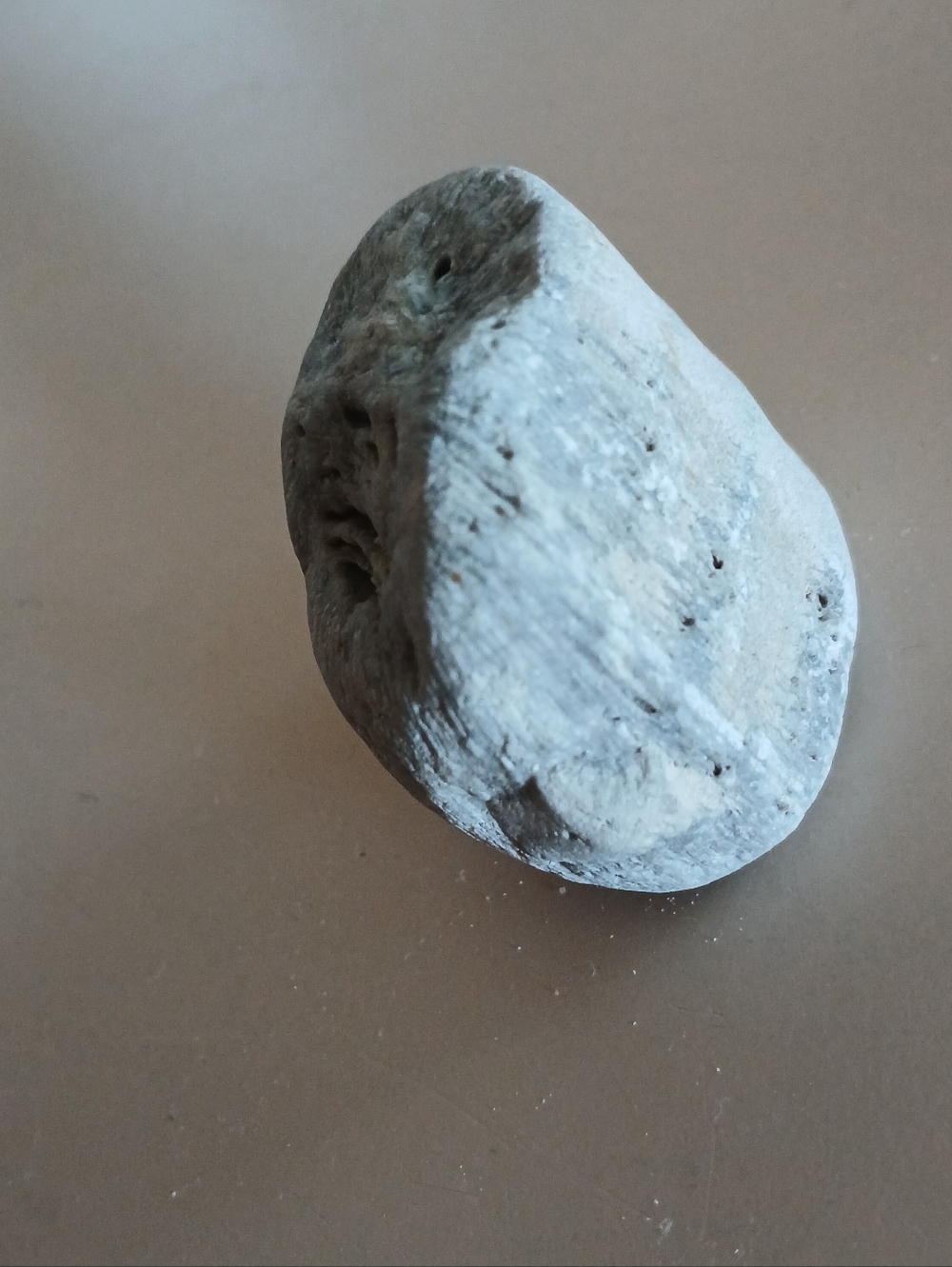 Fossil Collection - Picture 10 of 16